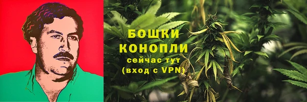 винт Аркадак