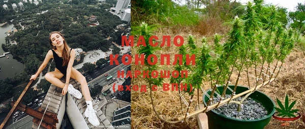 винт Армянск