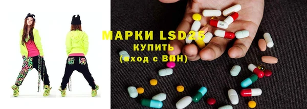 винт Аркадак