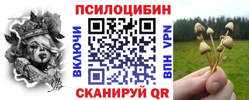 Псилоцибиновые грибы Cubensis  даркнет сайт  Соль-Илецк 